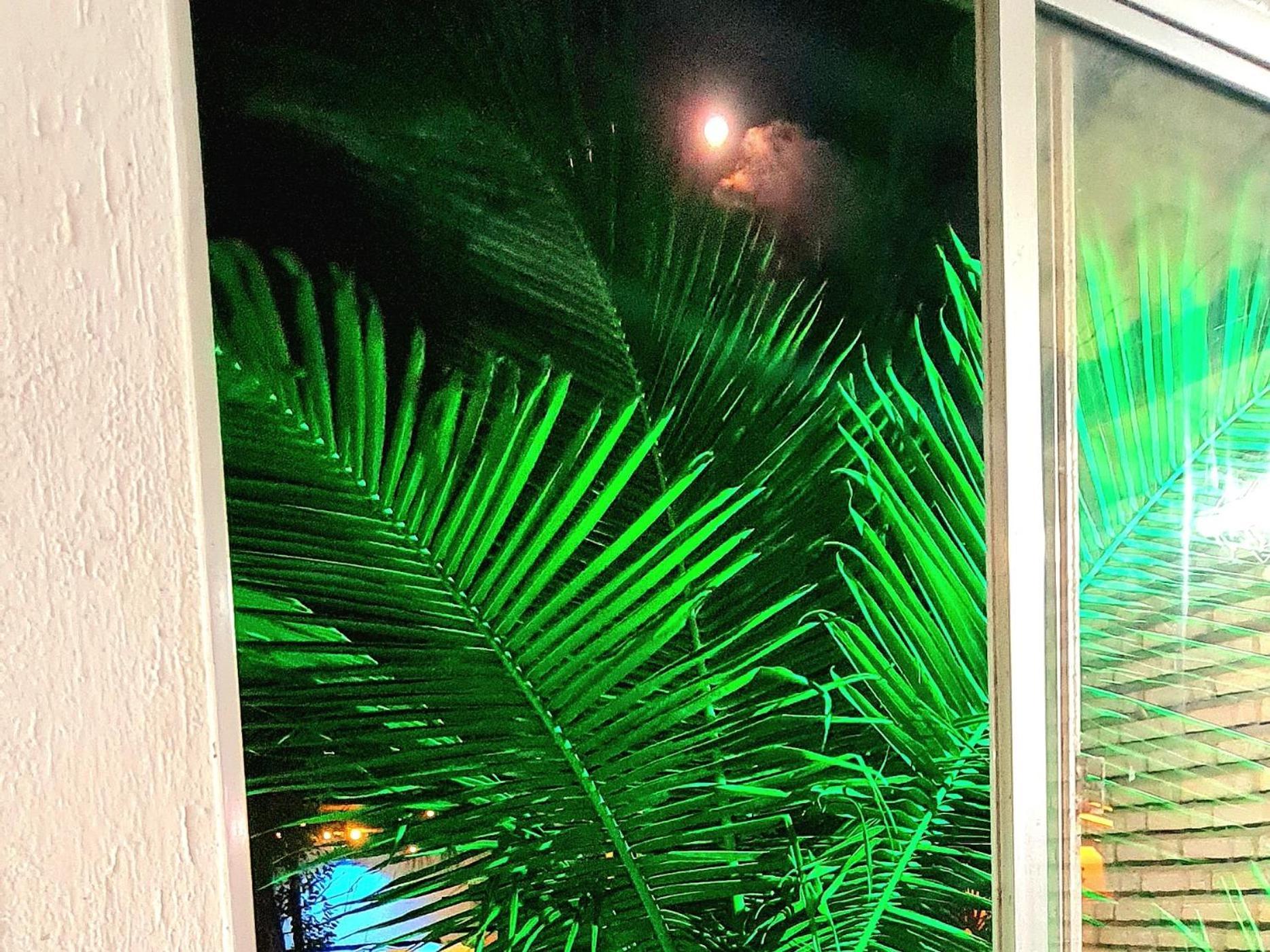 Di Pipa Rooms - Hidromassagem Externa Praia de Pipa Zewnętrze zdjęcie